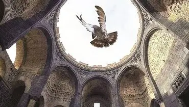 پرواز را به خاطر بسپار، پرنده مردنی است
