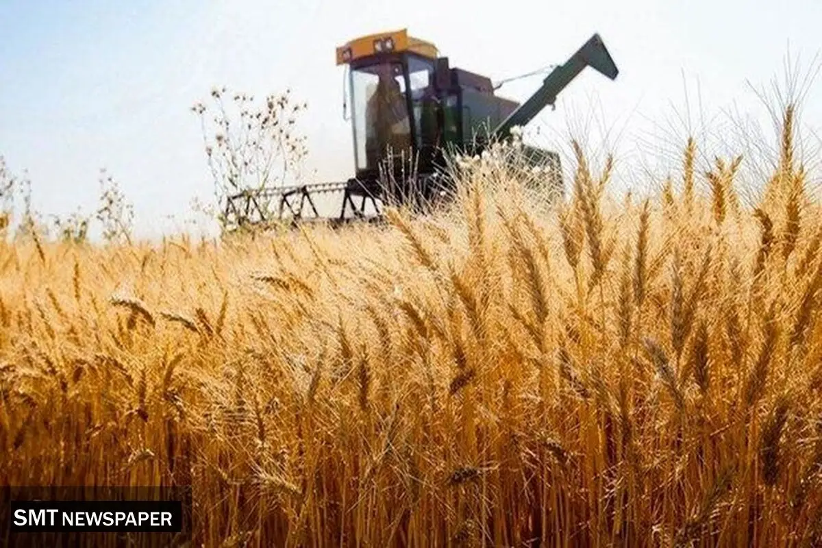 نرخ خرید تضمینی گندم از ۴۰ هزار تومان فراتر می‌رود
