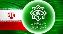 اطلاعیه مهم وزارت اطلاعات: تردد مشکوک این خودروها را گزارش دهید 