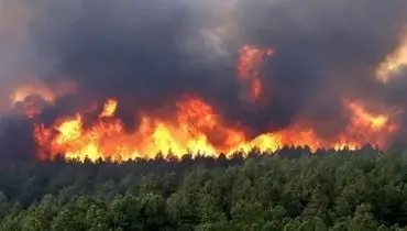 آتش‌سوزی گسترده در مسیر جنگلی جاده چالوس