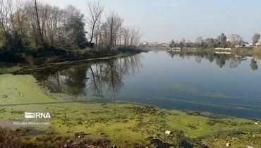 مشارکت محلی، تالاب‌ها را به نقشه بازمی‌گرداند