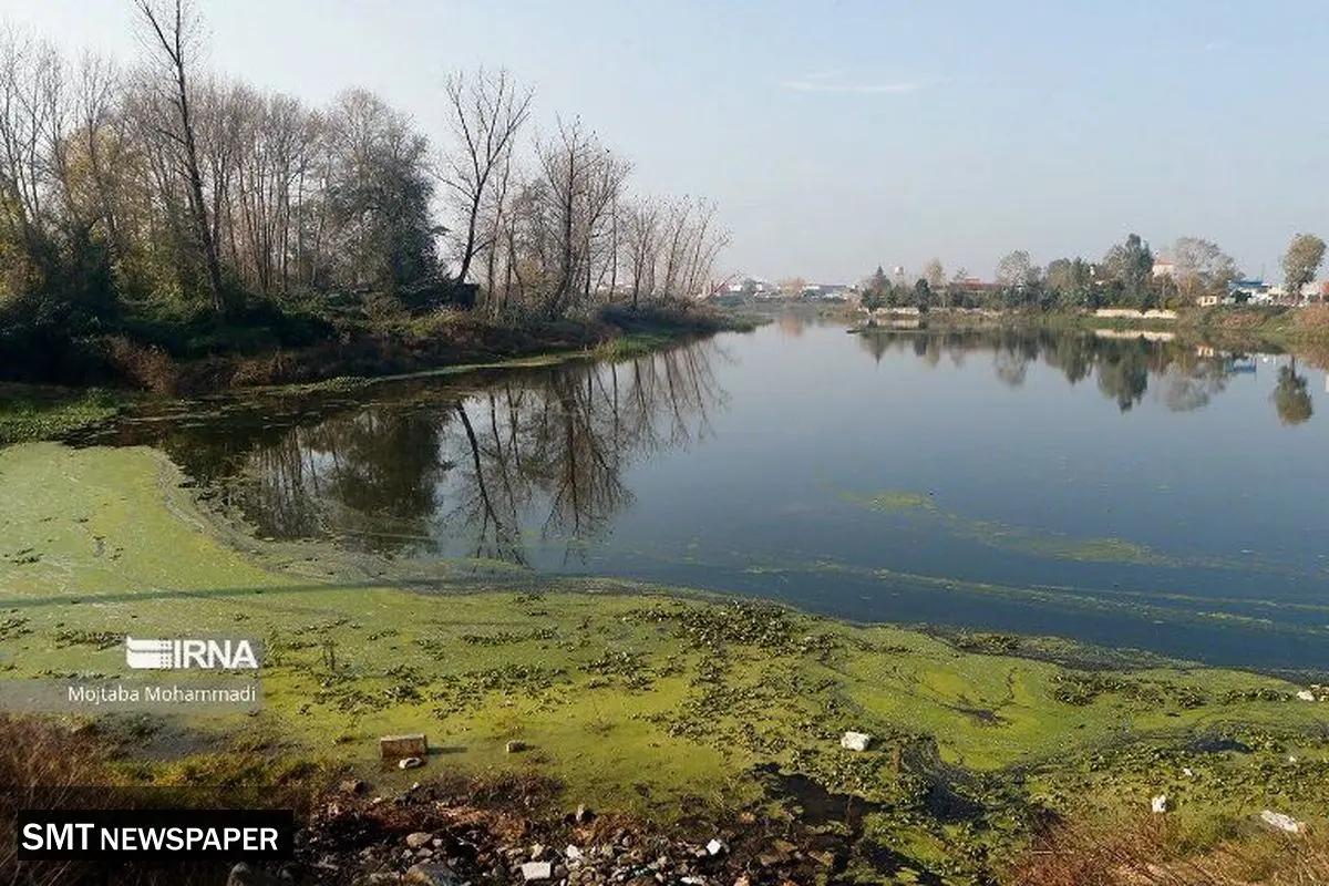 مشارکت محلی، تالاب‌ها را به نقشه بازمی‌گرداند