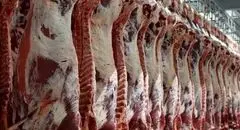 توزیع گوشت گرم گوساله وارداتی در میادین کلید خورد