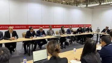 کارگروه مشترک میان شرکت ملی مس و هلدینگ بزرگ فلزات غیرآهنی چین تشکیل می‌شود