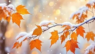 اطلاعیه هواشناسی ایران درباره شرایط جوی و هشدار به کشاورزان