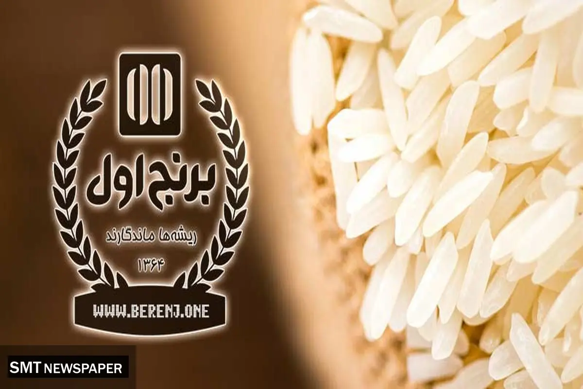 راهنمای جامع خرید عمده برنج؛ چگونه بهترین برنج را با قیمت مناسب تهیه کنیم؟