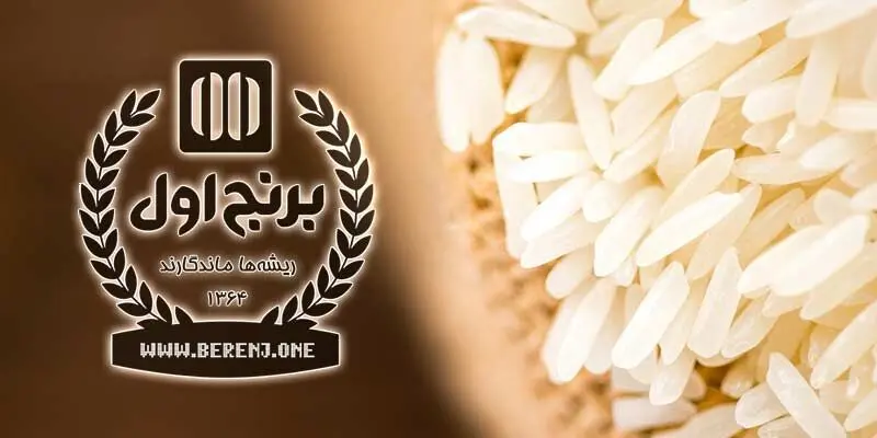 راهنمای جامع خرید عمده برنج؛ چگونه بهترین برنج را با قیمت مناسب تهیه کنیم؟