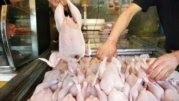 قیمت گوشت مرغ امروز شنبه ۲۶ مهر ۱۴۰۴ + جدول