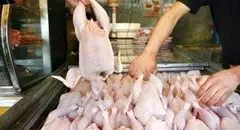 قیمت گوشت مرغ امروز شنبه ۲۶ مهر ۱۴۰۴ + جدول