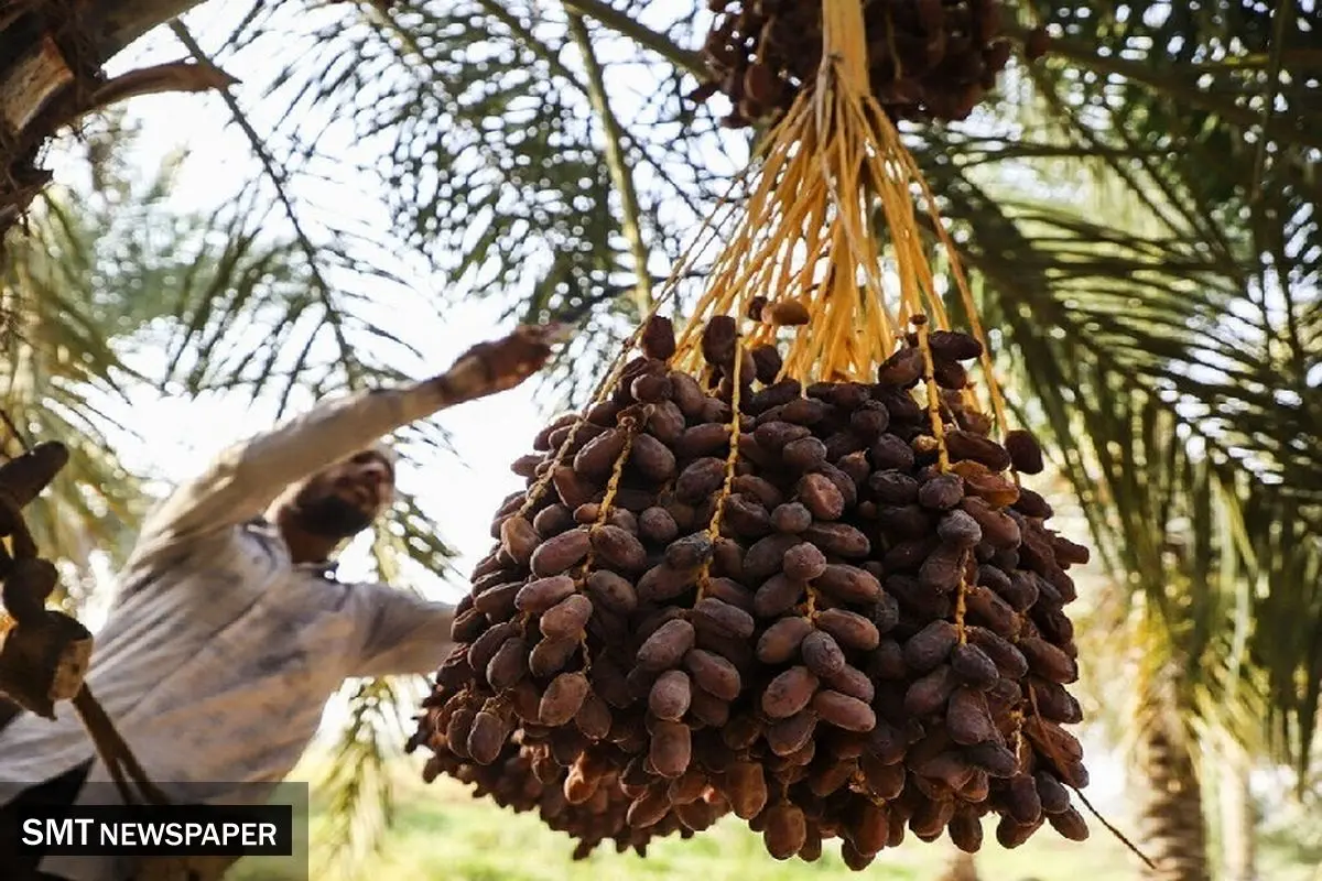 ناچار به برداشت سنتی هستیم