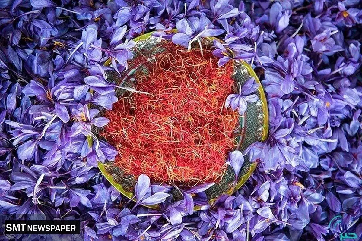 بالغ بر ۶۱۹ کیلوگرم زعفران نگین در قراردادهای آتی معامله شد