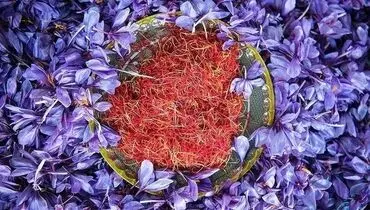 زعفران در بورس کالا رکورد زد؛ معامله ۱۵۷ کیلوگرم در بازار آتی