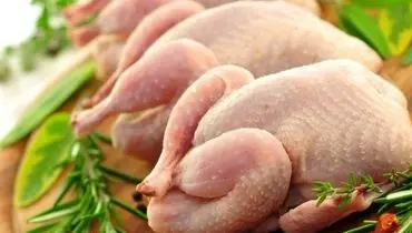 افزایش قیمت مرغ در بازار امروز شنبه ۲۹ شهریور ۱۴۰۴ + جدول