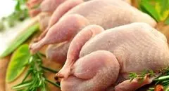 افزایش قیمت مرغ در بازار امروز شنبه ۲۹ شهریور ۱۴۰۴ + جدول