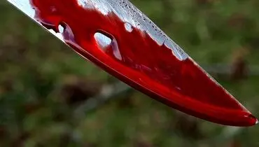 دعوا بر سر ملک موجب قتل دو جوان شد