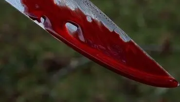 دعوا بر سر ملک موجب قتل دو جوان شد