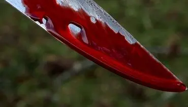 دعوا بر سر ملک موجب قتل دو جوان شد