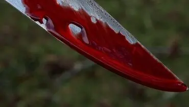 دعوا بر سر ملک موجب قتل دو جوان شد