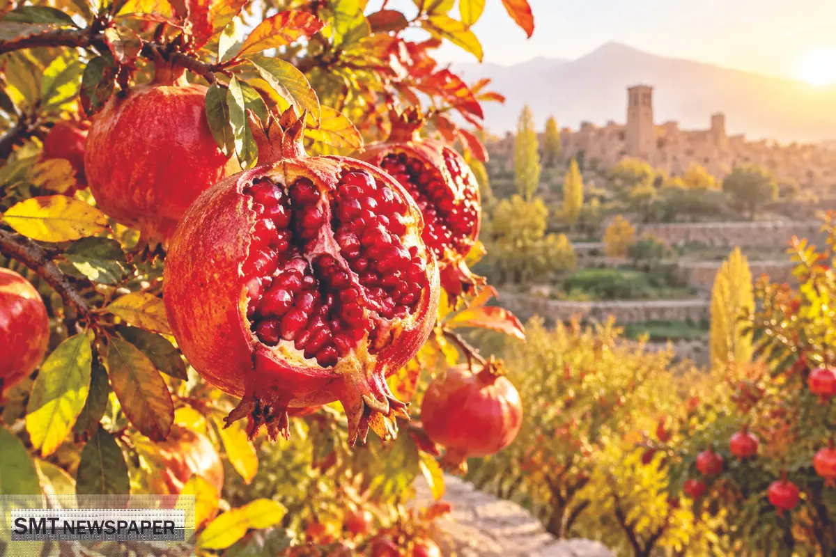 اقتصاد پنهان یاقوت سرخ

