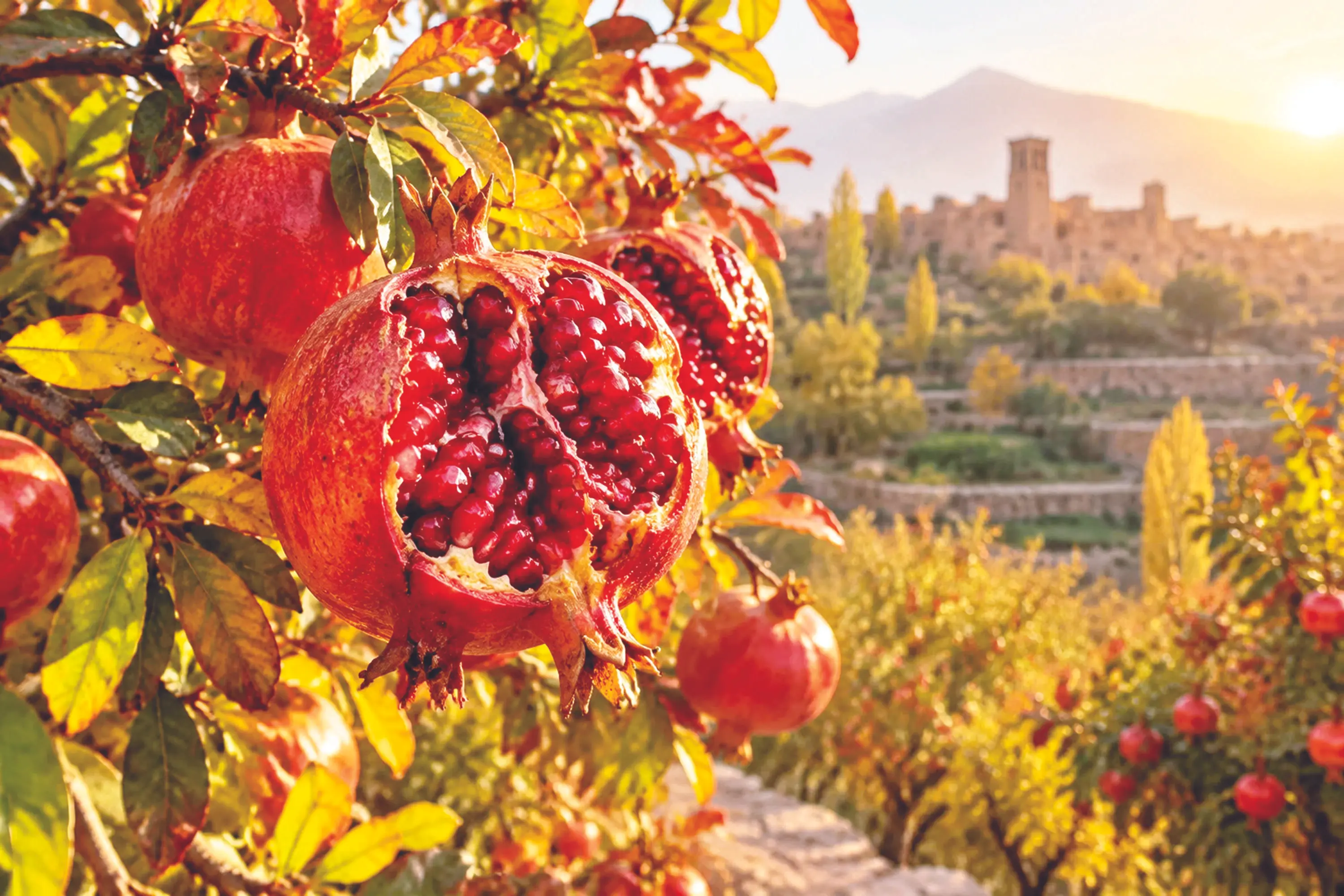 اقتصاد پنهان یاقوت سرخ

