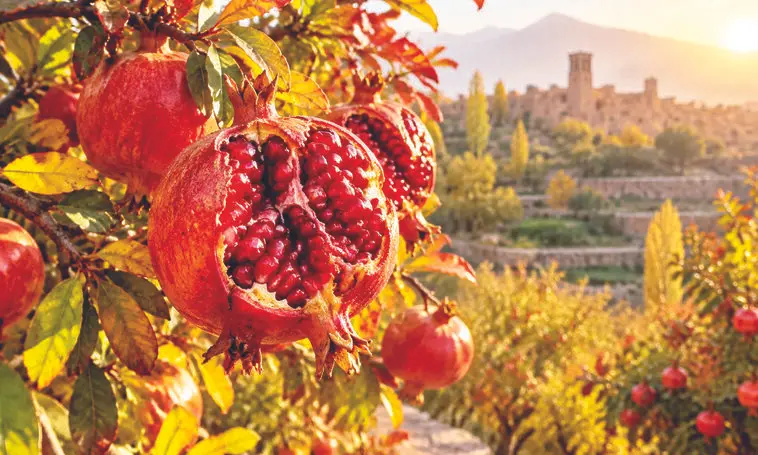 اقتصاد پنهان یاقوت سرخ

