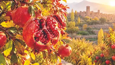 اقتصاد پنهان یاقوت سرخ

