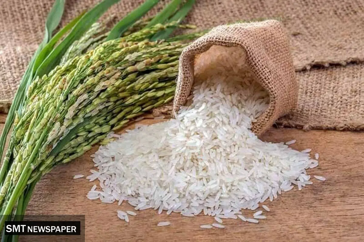 جهش قیمت برنج پاکستانی؛ عرضه محدود و واردات ممنوع