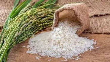 جهش قیمت برنج پاکستانی؛ عرضه محدود و واردات ممنوع