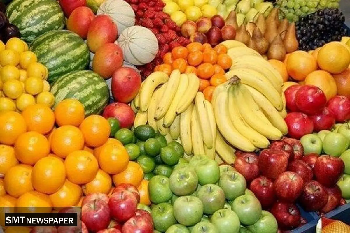  قیمت‌گذاری میوه ارتباطی با دولت ندارد 