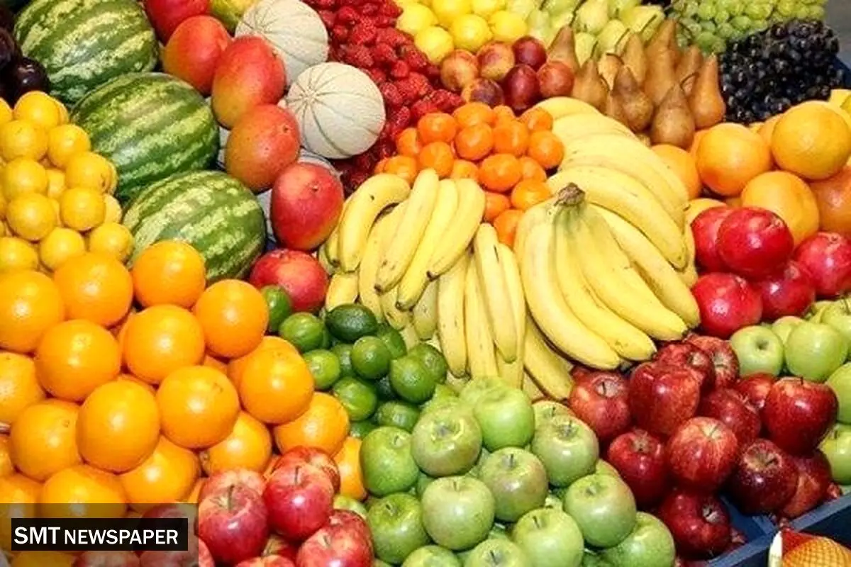  قیمت‌گذاری میوه ارتباطی با دولت ندارد 