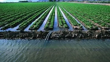  کشاورزی در تله «آب مجازی»