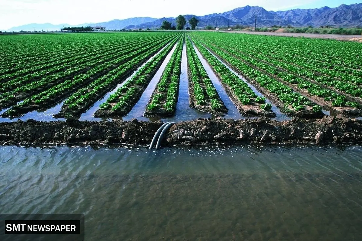  کشاورزی در تله «آب مجازی»