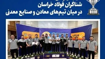 نایب‌قهرمانی شناگران فولاد خراسان در میان تیم‌های صنایع معدنی