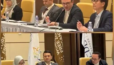 شکل‌دهی به زنجیره‌های ارزش افزوده مشترک در بریکس با محوریت مناطق آزاد