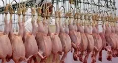 افزایش جزئی قیمت مرغ امروز یکشنبه ۴ آبان ۱۴۰۴ + جدول