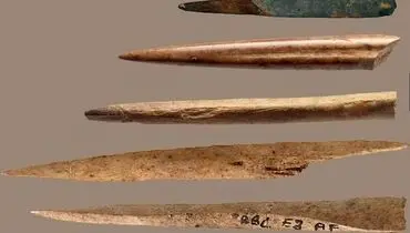 ابزارهای اولیه را از استخوان حیوانات می‌ساختند