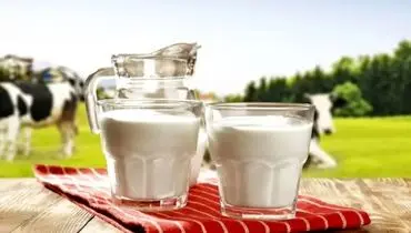 قیمت شیر سر به فلک کشید