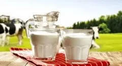 قیمت شیر سر به فلک کشید