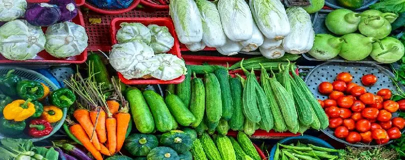 لیست قیمت صیفی جات امروز سه شنبه ۲۵ شهریور ۱۴۰۴