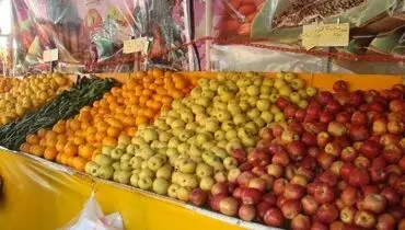 این الگوی کشت چه کسانی را ثروتمند می کند؟