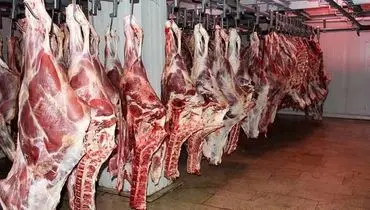 لیست قیمت گوشت گوسفندی و گوساله؛ چهارشنبه ۲۲ مرداد ۱۴۰۴