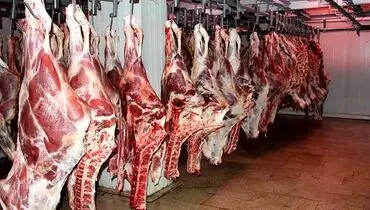 لیست قیمت گوشت گوسفندی و گوساله؛ چهارشنبه ۲۲ مرداد ۱۴۰۴