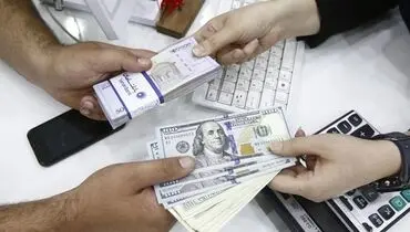 ضرر میلیاردی در پی تخصیص‌ دیرهنگام ارز