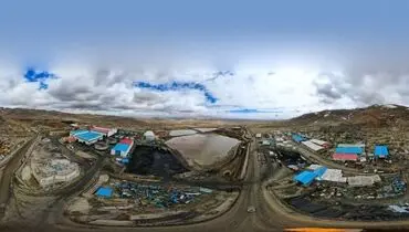 رکوردشکنی صبانور در تولید کنسانتره