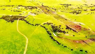 طبیعت زیر سلطه سرمایه‌داری