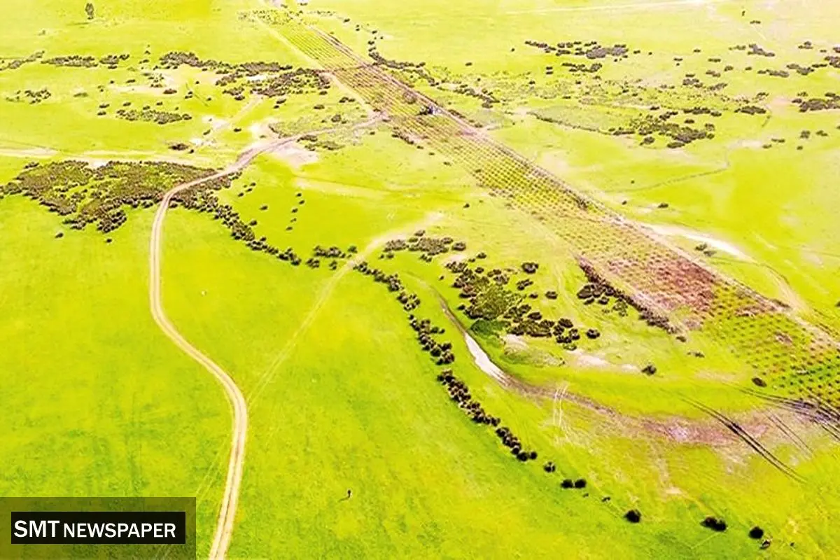 طبیعت زیر سلطه سرمایهداری