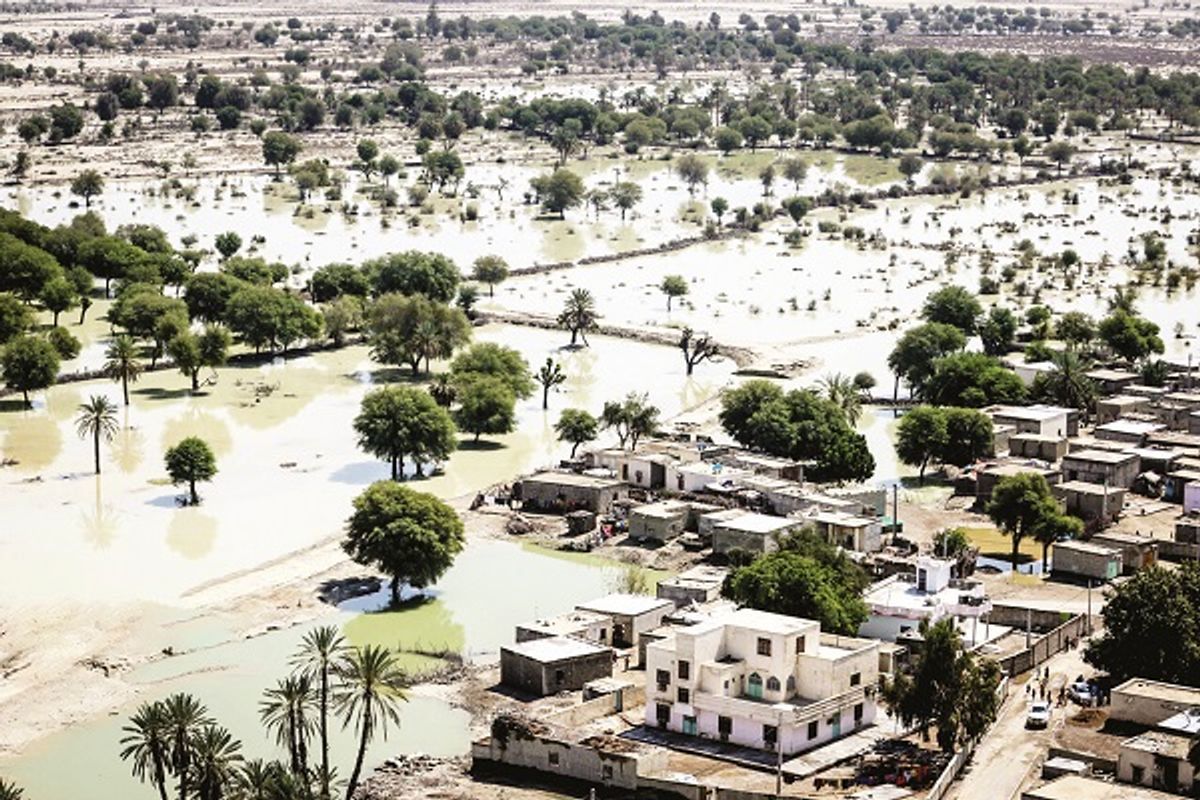 نیمه‌جان در مسیر سیلاب