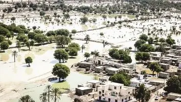 نیمه‌جان در مسیر سیلاب