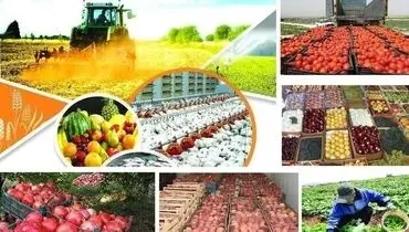استراتژی تولید و صادرات نداریم