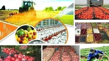استراتژی تولید و صادرات نداریم